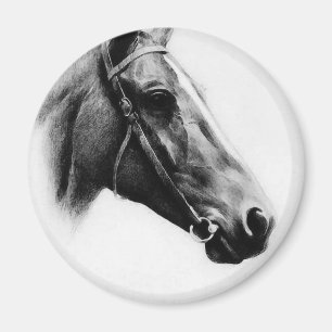 Íman Cavalo preto & branco