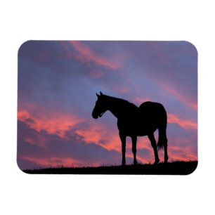 Íman Cavalo Puro-Sangue Silhuetado ao Nascer do Sol
