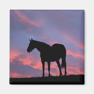 Íman Cavalo Puro-Sangue Silhuetado ao Nascer do Sol