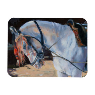 Íman Cavalo Rajasthan 2010 de Marwari