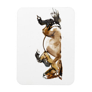 Íman Cavalo Rolante