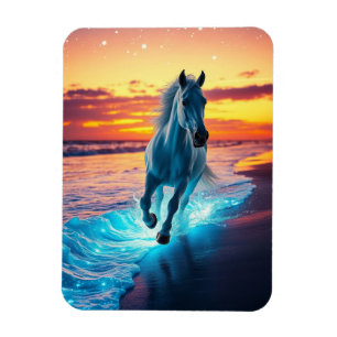 Íman Cavalo selvagem corre ao pôr do sol