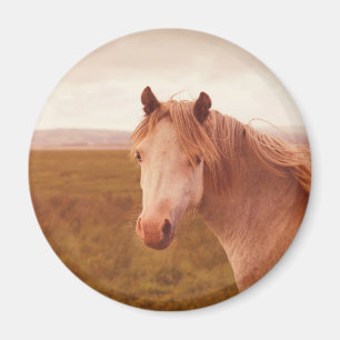 Íman Cavalo selvagem vintage