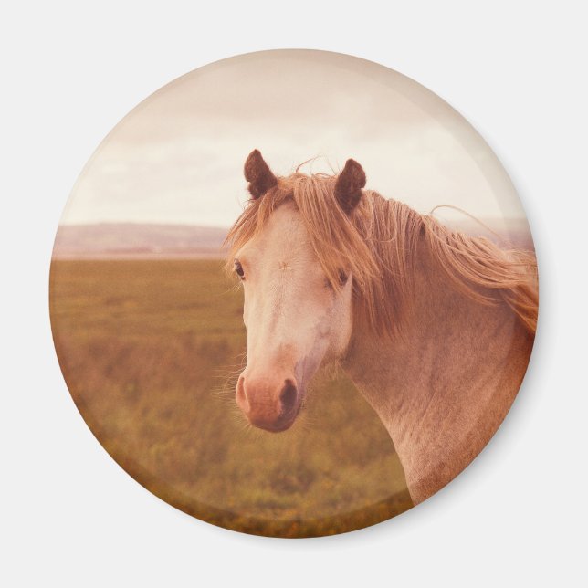 Íman Cavalo selvagem vintage (Frente)