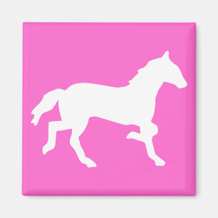 Íman cavalo simples