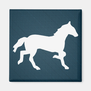 Íman cavalo simples