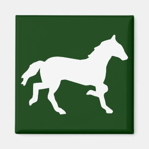 Íman cavalo simples