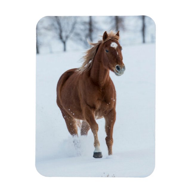 Íman Cavalo Solitário Correndo na Neve (Vertical)