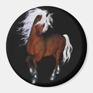 Íman Cavalo surpreendente