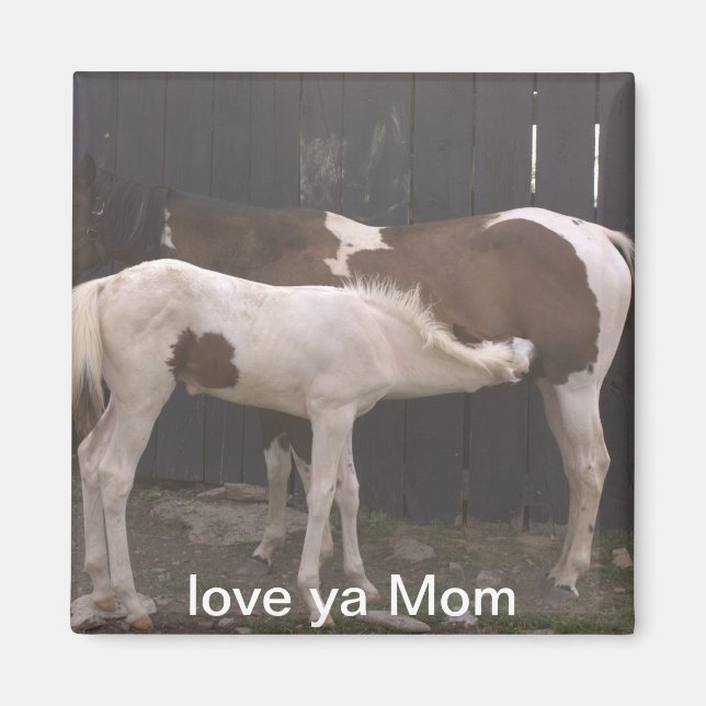 Íman cavalos (Frente)