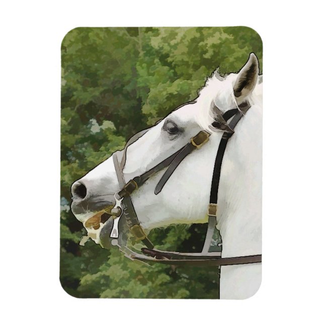 ÍMAN  CAVALOS (Vertical)