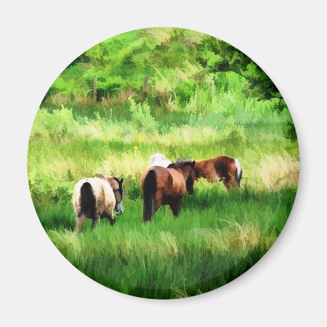 ÍMAN CAVALOS (Frente)