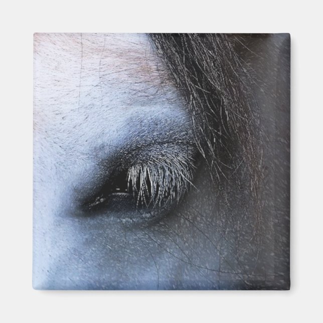 ÍMAN CAVALOS (Frente)