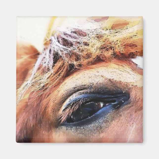 ÍMAN CAVALOS (Frente)