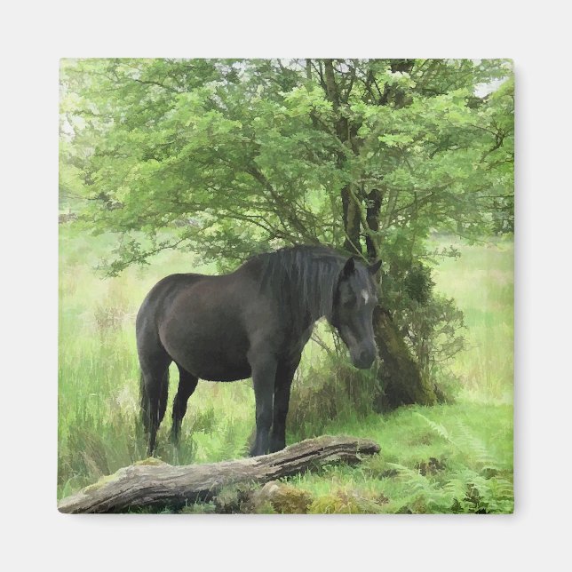 ÍMAN CAVALOS (Frente)