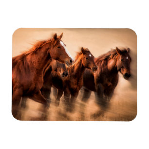 Íman Cavalos correndo, borrão e crinas voando