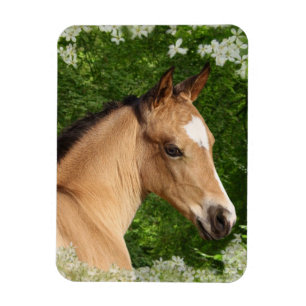 Íman Cavalos da fantasia: Flores