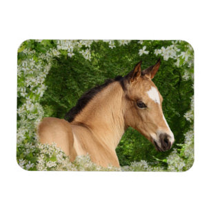 Íman Cavalos da fantasia: Flores