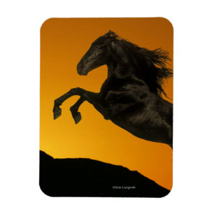 Íman Cavalos da fantasia: Por do sol da montanha