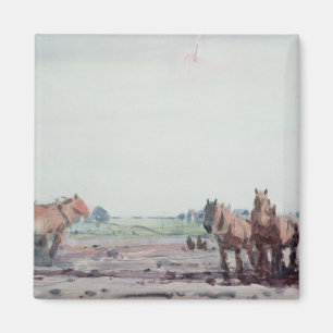 Íman Cavalos da guilhotina