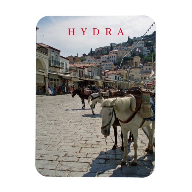 Íman Cavalos da ilha de Hydra veem imã de geladeira (Vertical)