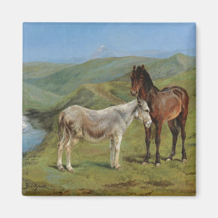 Íman Cavalos de Cinza clara num campo (Equine Fazenda A