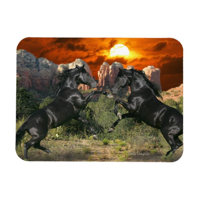 Íman Cavalos de Fantasia: Magia Negra (Horizontal)