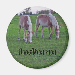Íman Cavalos de Indiana
