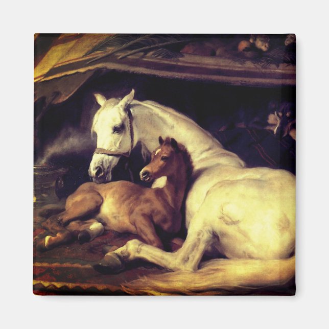 Íman Cavalos de Landseer (Frente)