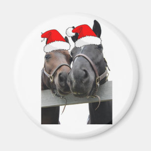 Íman Cavalos de Natal