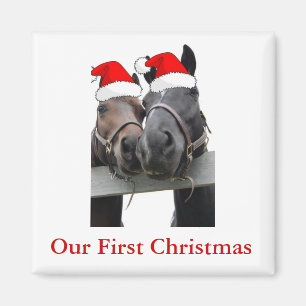 Íman Cavalos de Natal