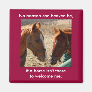 Íman Cavalos do anjo - ímã