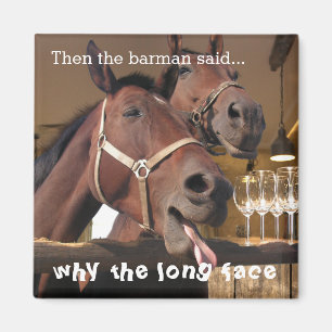 Íman Cavalos Engraçados