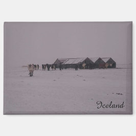 Íman Cavalos islandeses no ímã da neve