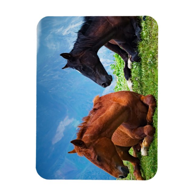 Íman Cavalos Moody Mountain: Uma Arte Refinada  (Vertical)