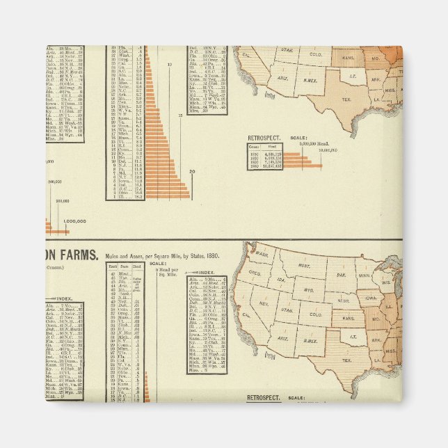 Íman Cavalos, mula, asinina, ovelha (Frente)