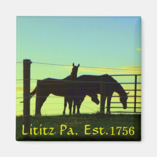 Íman Cavalos no por do sol no Pa de Lititz. Ímã