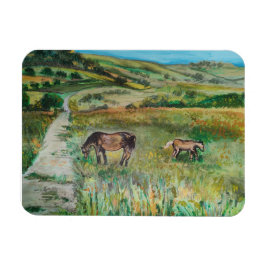 Íman Cavalos no prado