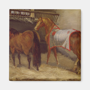 Íman Cavalos nos estábulos
