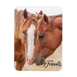 Íman Cavalos que se infundem numa pastagem