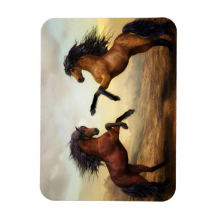 Íman Cavalos Selvagens