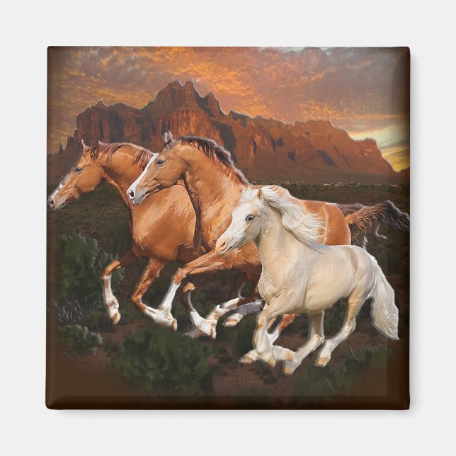 Íman cavalos selvagens do Arizona (Frente)