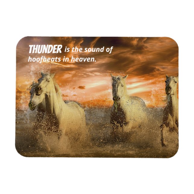 Íman Cavalos Selvagens, Thunder é Hoofbeats no Magneta  (Horizontal)