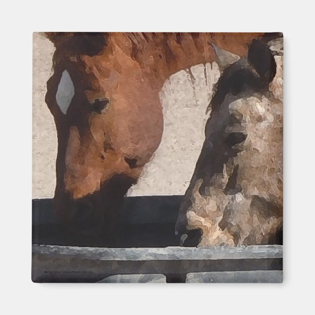 Íman Cavalos Sessentos Bebem no Pano de Água (Frente)