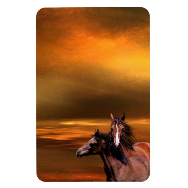 Íman Cavalos solares (Vertical)