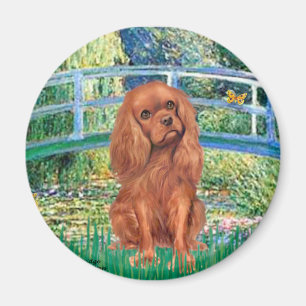 Íman Cavavlier (Ruby7) - Ponte