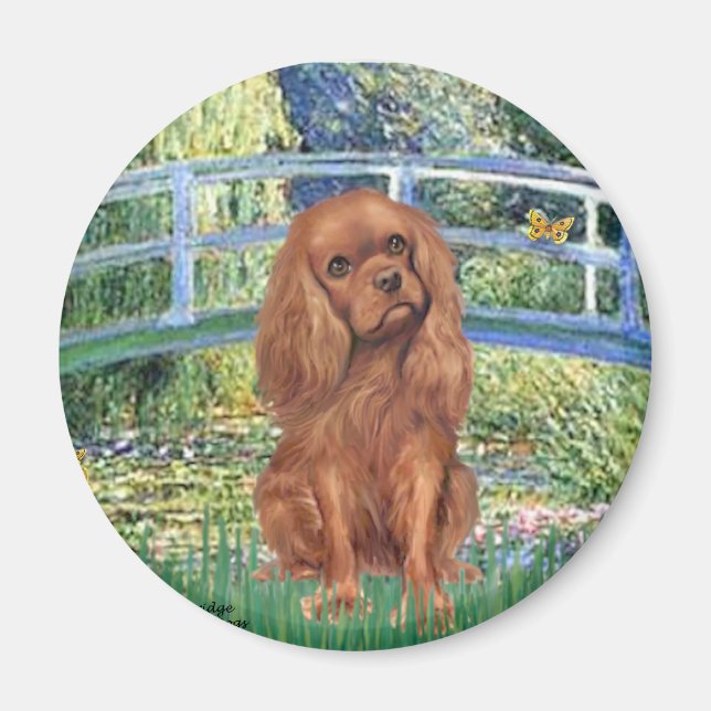 Íman Cavavlier (Ruby7) - Ponte (Frente)