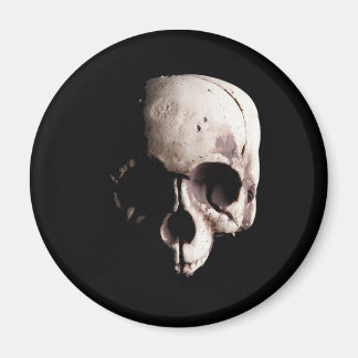 Íman Caveira