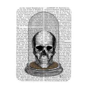 Íman Caveira No Jato 2