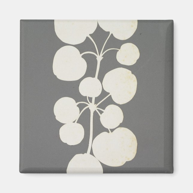 Íman Cayenne Pepper (Frente)